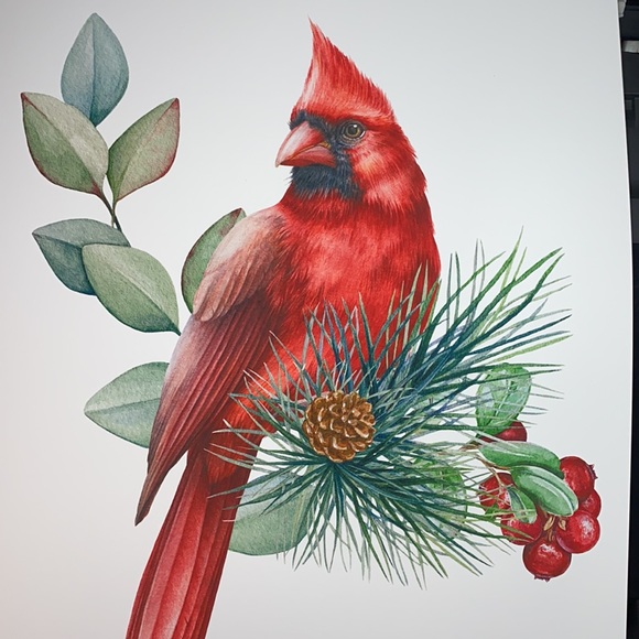 Watercolor Red Cardinal Wall Art Illustration Print Poster Unframed - Picture 7 of 14